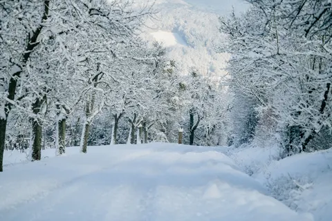 Winter Snow 4K Wallpaper · nature · 3840×2561