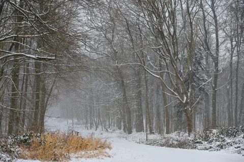 Winter Snow 4K Wallpaper · nature · 3840×2560