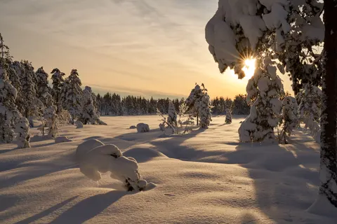 Обои Зимний снег 4K · nature · 3840×2561