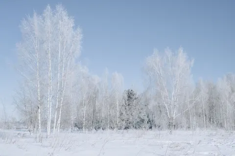 Winter Snow 4K Wallpaper · nature · 3840×2560
