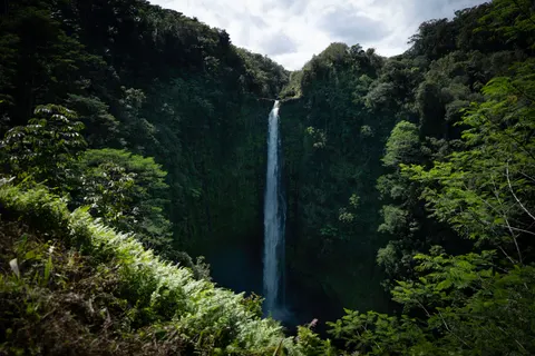 Jungle Waterfall 4K Wallpaper · waterfall · 3840×2561