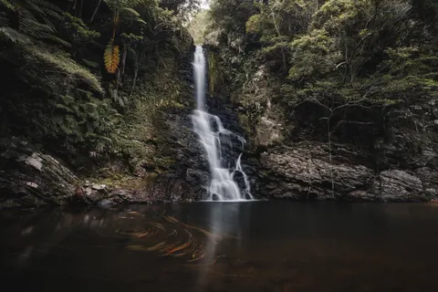 Jungle Waterfall 4K Wallpaper · waterfall · 3840×2560