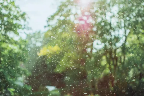 Papel de parede Gotas de chuva 4K · nature · 3840×2560
