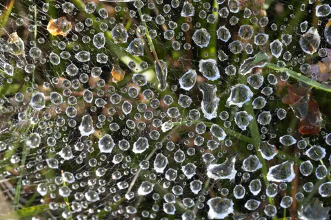 Papel de parede Gotas de chuva 4K · nature · 3840×2560