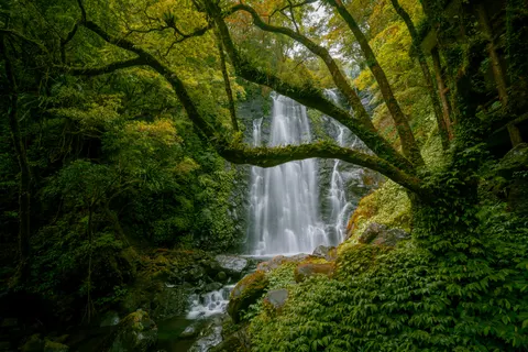 जंगल का झरना 4K वॉलपेपर · waterfall · 3840×2560
