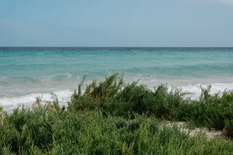 Обои Тропический пляж 4K · ocean · 3840×2560