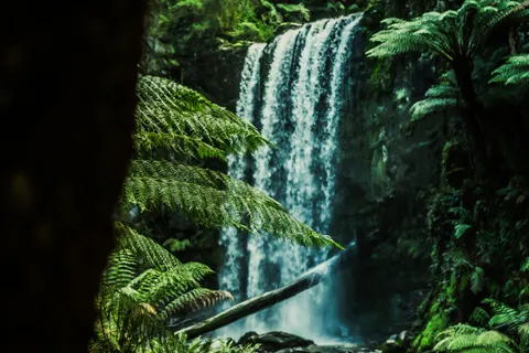 जंगल का झरना 4K वॉलपेपर · waterfall · 3840×2560
