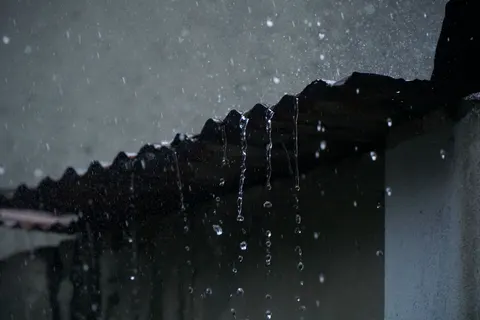 雨滴 4K壁纸 · nature · 3840×2560