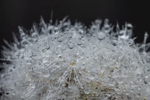 Обои Капли дождя 4K · nature · 3840×2561