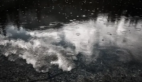 雨滴 4K壁纸 · nature · 3840×2213