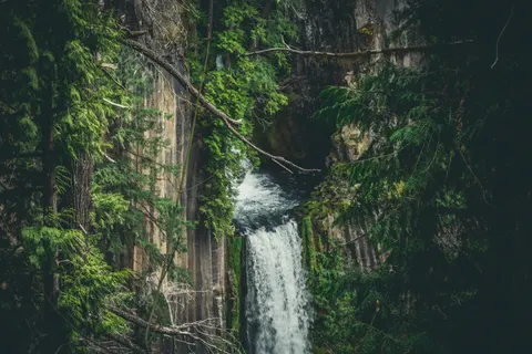 Jungle Waterfall 4K Wallpaper · waterfall · 3840×2560