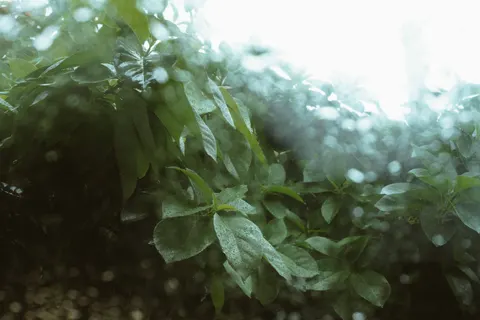 빗방울 4K 배경화면 · nature · 3840×2560