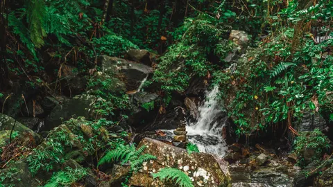 정글 폭포 4K 배경화면 · waterfall · 3840×2161