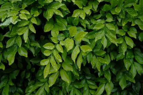 Regentropfen 4K Hintergrundbild · nature · 3840×2560