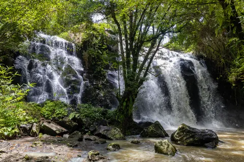 Jungle Waterfall 4K Wallpaper · waterfall · 3840×2561