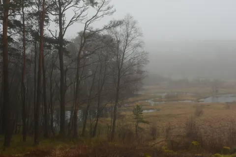 Foggy Road 4K Wallpaper · nature · 3840×2560