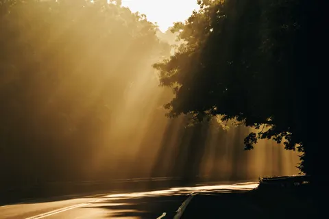 Fondo de pantalla Carretera con niebla 4K · nature · 3840×2560