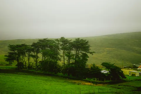 Fondo de pantalla Carretera con niebla 4K · nature · 3840×2560