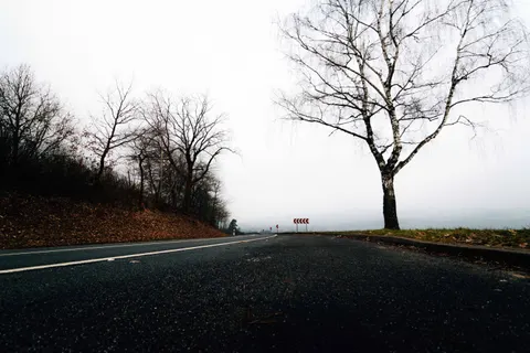 雾中道路 4K壁纸 · nature · 3840×2560