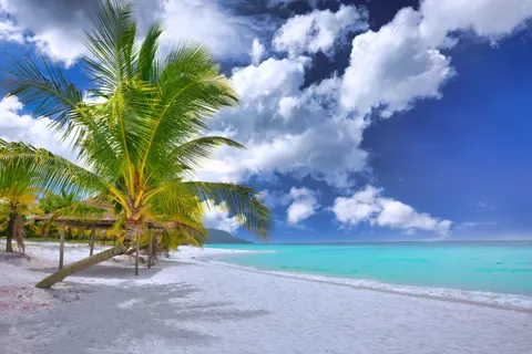 Обои Тропический пляж 4K · ocean · 3840×2560