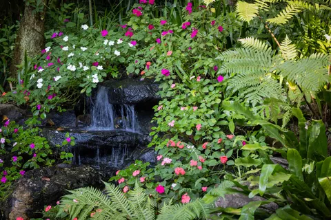 Jungle Waterfall 4K Wallpaper · waterfall · 3840×2561