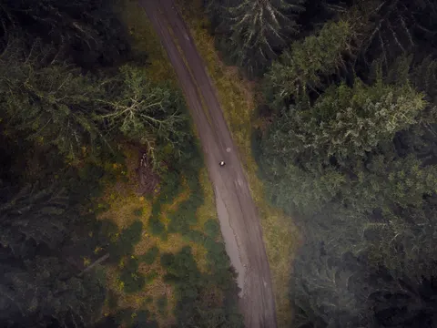 Обои Туманная дорога 4K · nature · 3840×2880