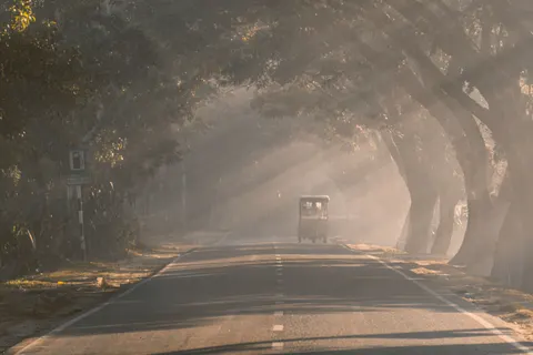 霧の道 4K壁紙 · nature · 3840×2560