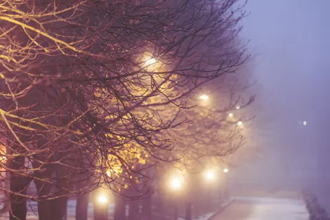 Foggy Road 4K Wallpaper · nature · 3840×2560
