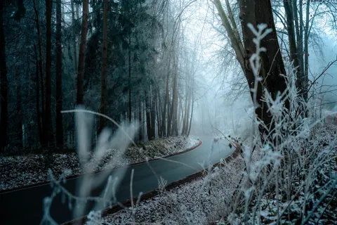 Fondo de pantalla Carretera con niebla 4K · nature · 3840×2560