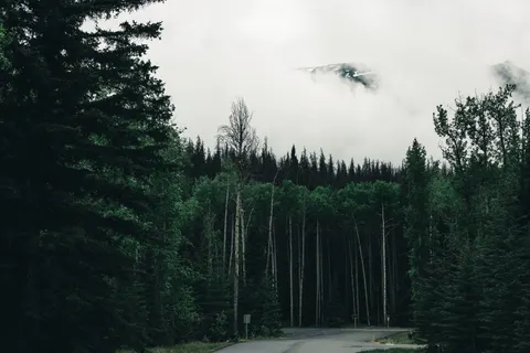 Fondo de pantalla Carretera con niebla 4K · nature · 3840×2561