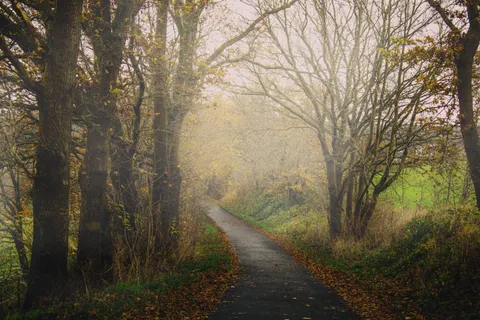 Foggy Road 4K Wallpaper · nature · 3840×2560