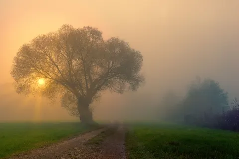 Neblige Straße 4K Hintergrundbild · nature · 3840×2560