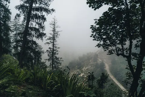 Neblige Straße 4K Hintergrundbild · nature · 3840×2560