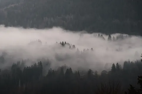 Foggy Road 4K Wallpaper · nature · 3840×2561