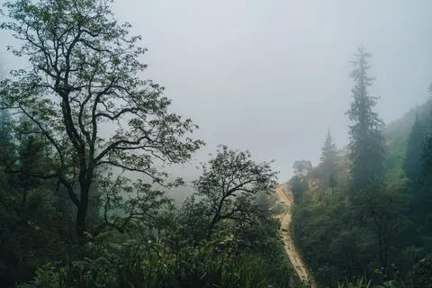 안개 낀 도로 4K 배경화면 · nature · 3840×2560