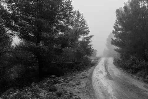 Neblige Straße 4K Hintergrundbild · nature · 3840×2560