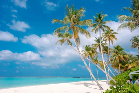 Tapeta Tropikalna Plaża 4K · ocean · 3840×2563