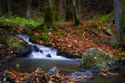 Sfondo Cascata nella Foresta 4K · waterfall · 3840×2561