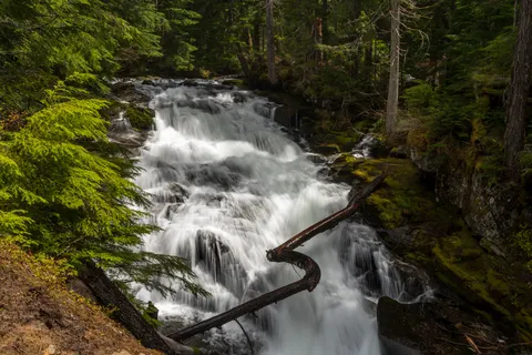 Forest Waterfall 4K Wallpaper · waterfall · 3840×2560