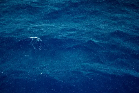 Обои Глубокий синий 4K · underwater · 3840×2560