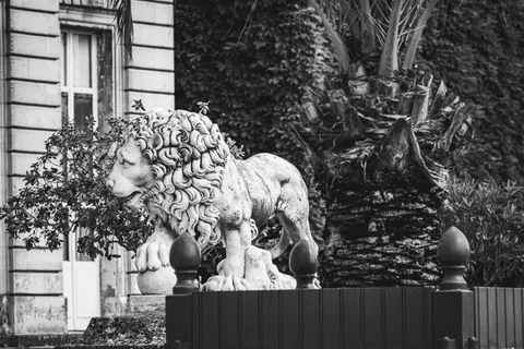 Lion 4K Wallpaper · animals · 3840×2560