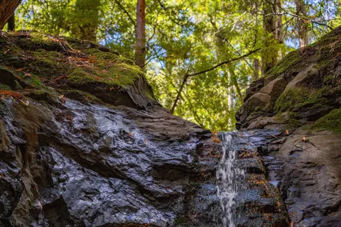 Forest Waterfall 4K Wallpaper · waterfall · 3840×2560