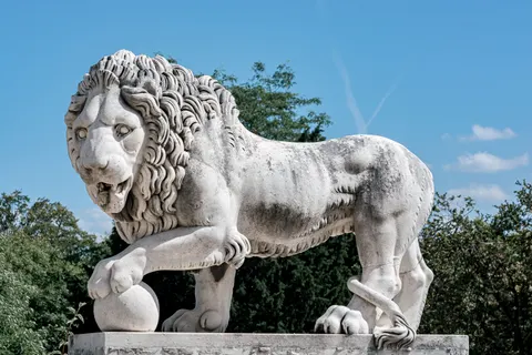 Lion 4K Wallpaper · animals · 3840×2560