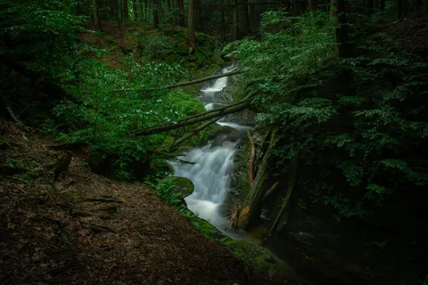 Forest Waterfall 4K Wallpaper · waterfall · 3840×2560