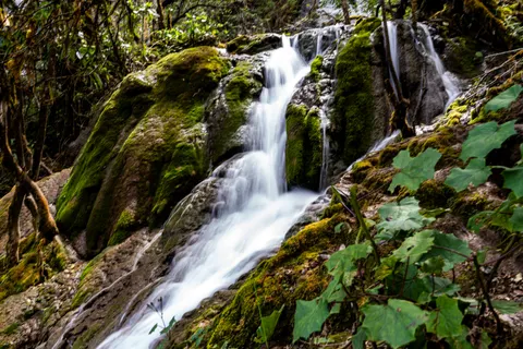 Forest Waterfall 4K Wallpaper · waterfall · 3840×2560