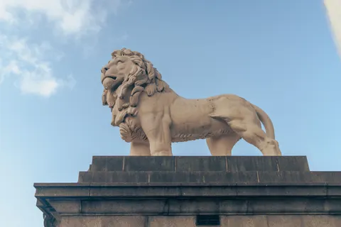 Lion 4K Wallpaper · animals · 3840×2560