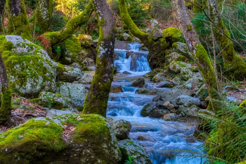 Sfondo Cascata nella Foresta 4K · waterfall · 3840×2560