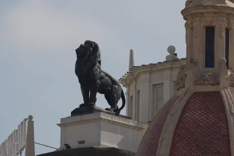 Fondo de pantalla León 4K · animals · 3840×2560