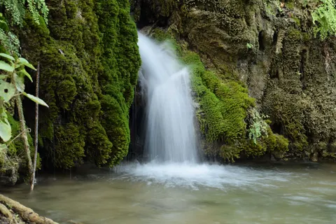 Forest Waterfall 4K Wallpaper · waterfall · 3840×2560