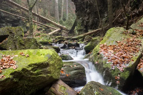 Forest Waterfall 4K Wallpaper · waterfall · 3840×2563